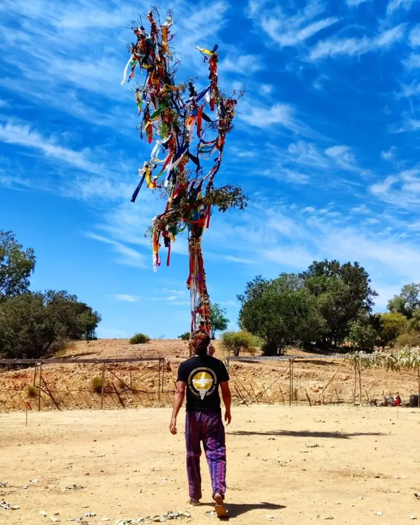 WhatsApp Image 2025-12-09 at 6.41.59 PM (2)